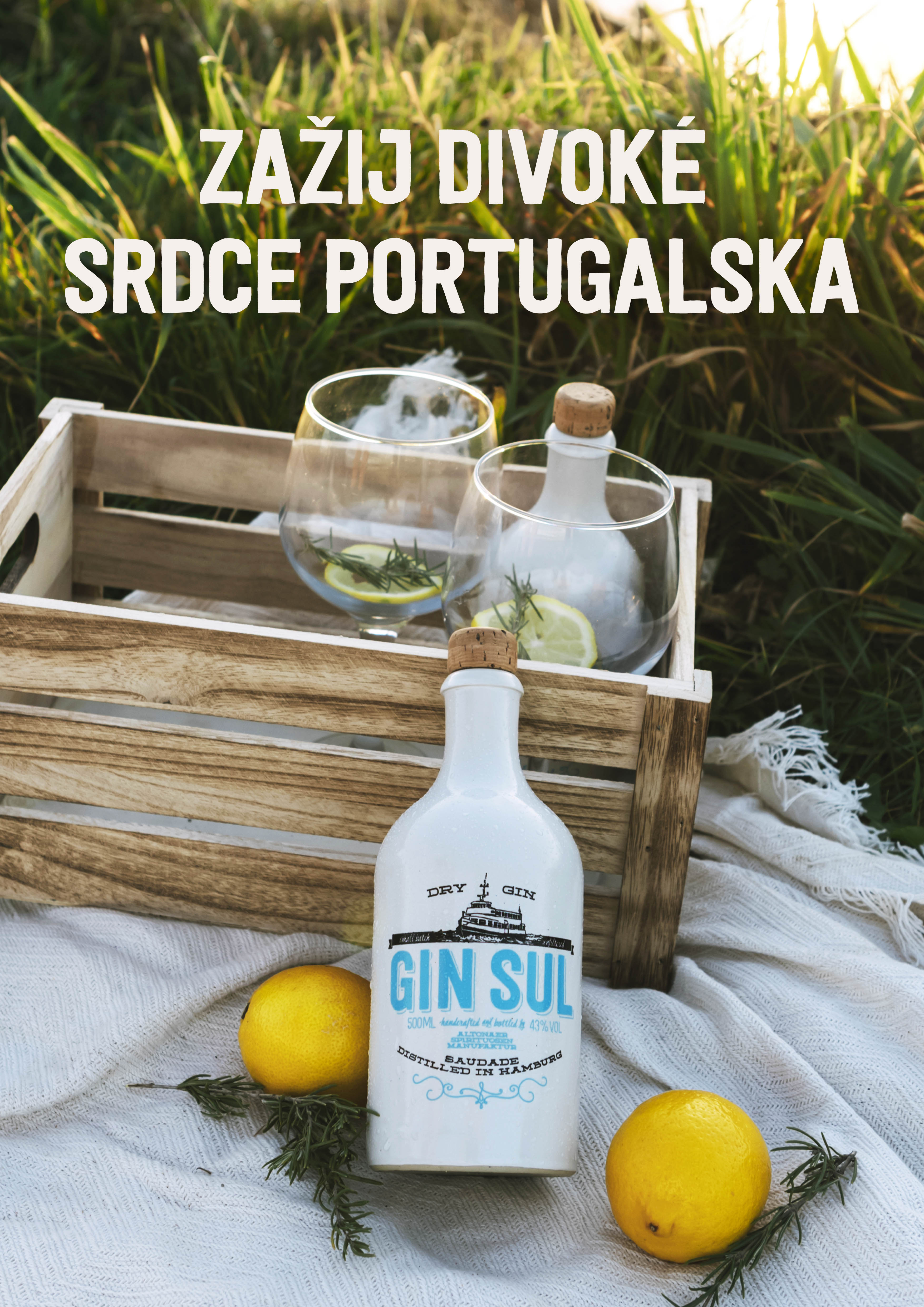 GIN_SUL_A3_KV_P_CZ_002